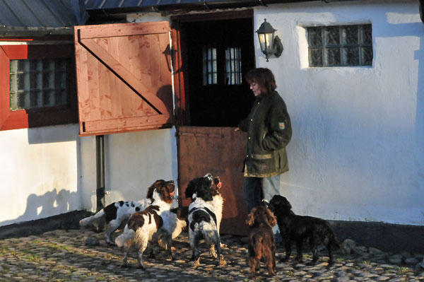 Tina med sina hundar. Fotograf Åsa Norrby.