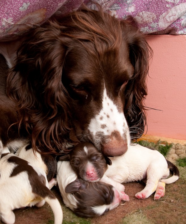Mor och dotter