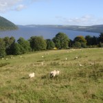 Loch Ness från hästryggen