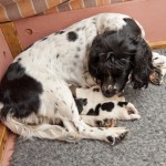 Omsorgsfull mamma