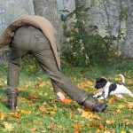 Vilken stil de har - sådan husse - sådan hund!
