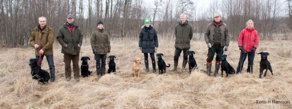 Stolt mamma Mary m sina 9 månaders valpar