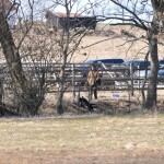 Terrängskifte ÖVER bäcken