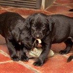 Det ska börjas i tid