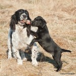 Å VAD exakt vill du då?