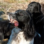 Ett UNDER av tålamod - Boy!