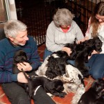 Tina & Boy i mitten - såklart