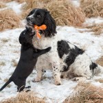 Undrar om man vågar...