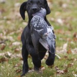 Blir det bra såhär