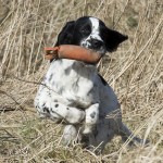 Snabba inlevereringar