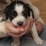 Hmmm - vad är detta