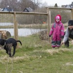 Linjetag - full fart ut