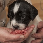 Minsta tösen - största portionen!