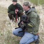 Mysigt med passivitet