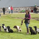 Leonard Knutsson & Tina Hansson på Wideröra trädgårdsmässa
