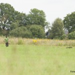 En del fick springa, men inte så många...