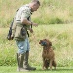 Fox och Niels Henrik