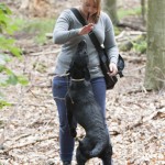 Från bus till stopp