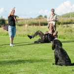 Häftiga avlämningar -Leonard knockas av sin C S Cookie
