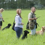 Högflygande dummies