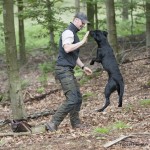 Kom igen nu då husse!