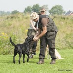 Oscar med C S Black Velvet