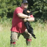 Fast grepp hos hund och förare