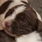 Ville du något särskilt?