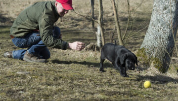 Axel med sin Rocky