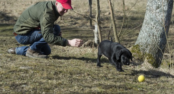 Axel med sin Rocky