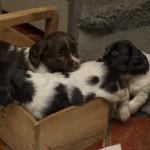 Kom nu in - nej ut med dig!