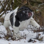 Mycket att smaka på