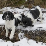 Nämen - hur ska vi komma ner?