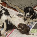 OK jag får väl ge mig då