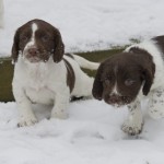 O´Boy & en liten syster