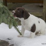 Undrar hur detta smakar