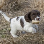 Är jag duktig nu Tina?