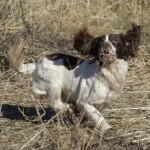 Markerar dummy i luften