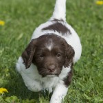 CS Magic, som ska flytta med sin mamma hem