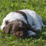 Det tar på krafterna att vara utomhus