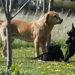 Men fy vad du låter grym - jag sticker