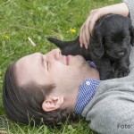 Ny husse och ny hund