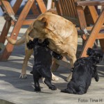 Shit vad hon är sträng helt plötsligt