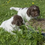 Tror du man ska klättra upp på denna