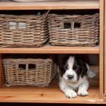 Ja, här ligger man ju bra