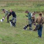 Virr varr eller ordning