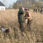 Men apporten spikade Nelli!