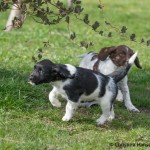 Full fart