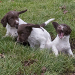 Det här är min håla