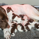 Är de verkligen mina?